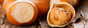 Фундук – невероятно питательные орешки со сладким привкусом